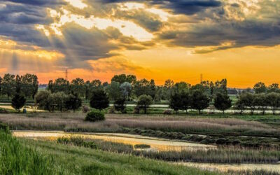 Il Delta del Po a maggio, esplosione di natura e Bellezza