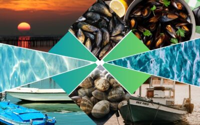 Il fascino della pesca nel Delta del Po tra storie e leggende