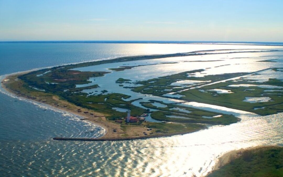 Visita le spiagge de Delta del Po, tra relax e natura